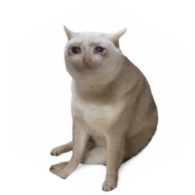 Cash Cat